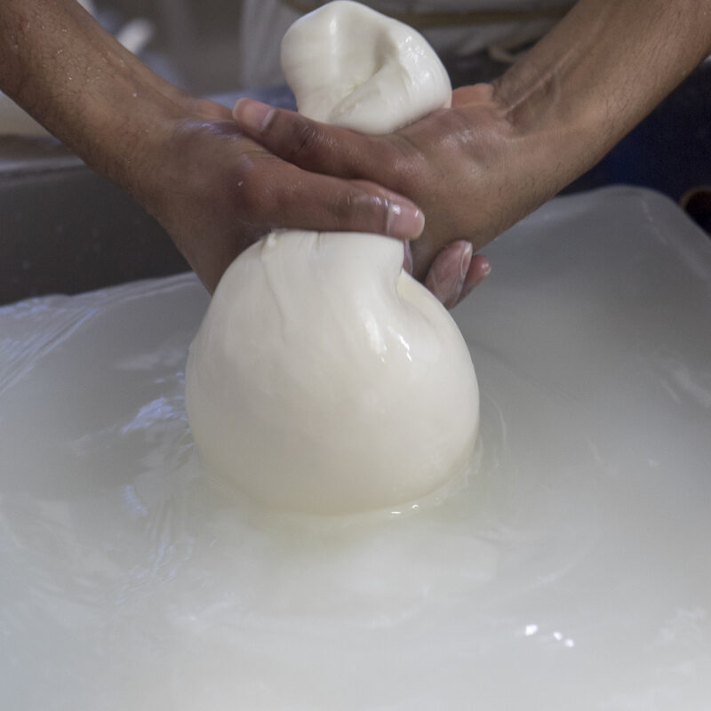Mozzarella di Bufala