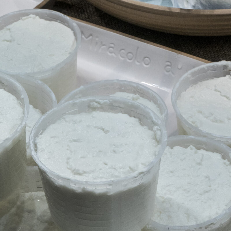 Ricotta Fresca Vaccino